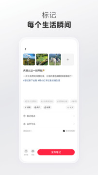 小红书作品发布截图