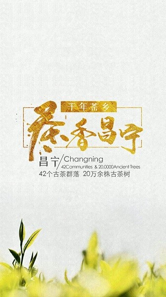 茶香昌宁客户端