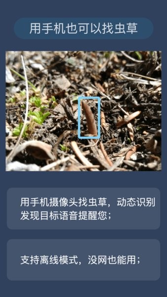 幸运之眼虫草挖掘工具下载v1.0.7 3