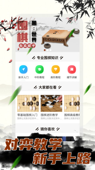 围棋大师教学