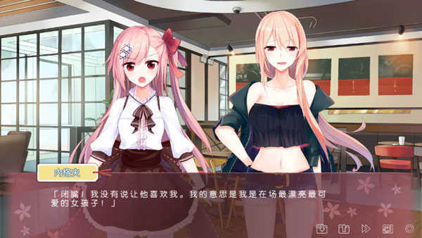 IRIS中文版