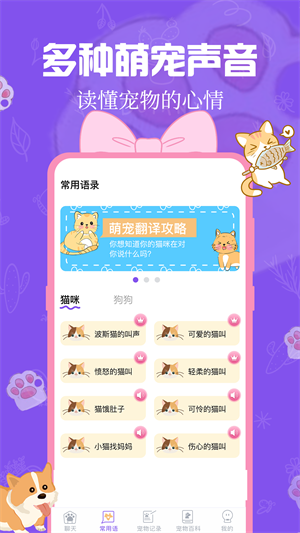 猫狗翻译器客户端下载v3.7.4 1