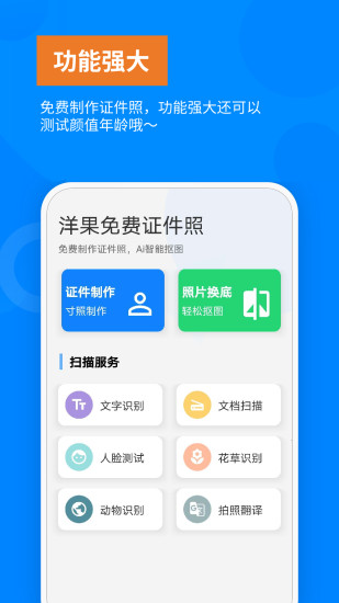 洋果